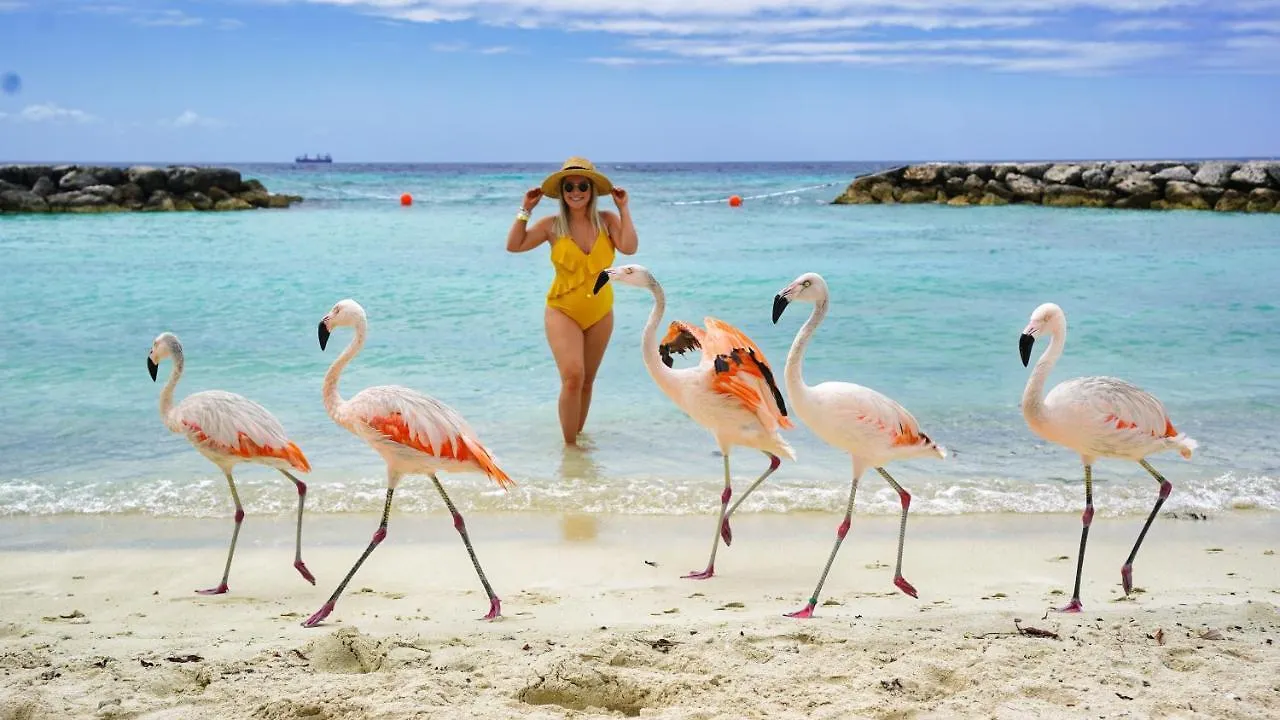 San Fuego 28-W Villa Santa Cruz Aruba